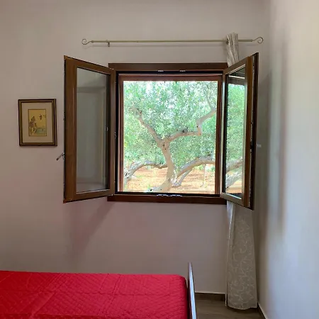 La Degli Ulivi -