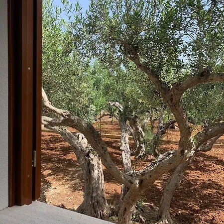 La Degli Ulivi -