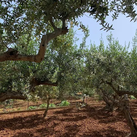 Casa vacanze La Degli Ulivi -